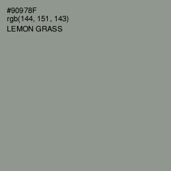 #90978F - Lemon Grass Color Image